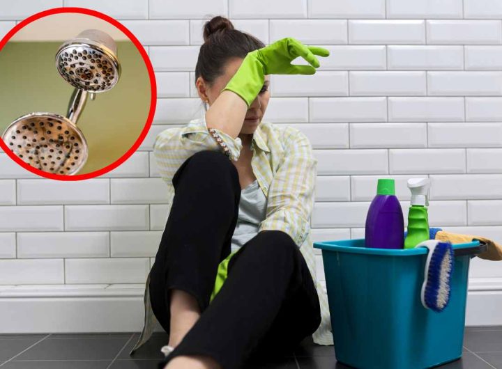 Donna frustrata per pulizia bagno