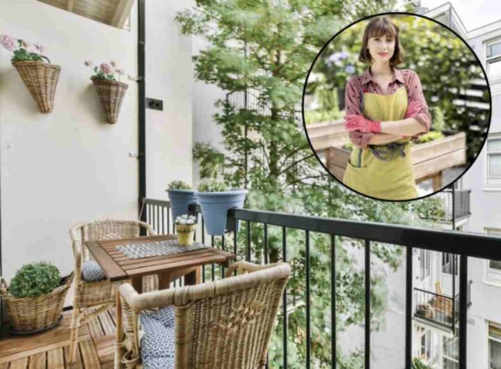 Quando si tratta di scegliere le fioriere giuste per un balcone di dimensioni contenute, è fondamentale considerare vari aspetti come la forma,