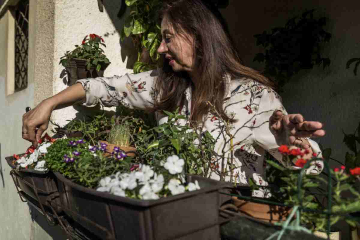 La selezione delle piante da collocare nelle fioriere è un aspetto altrettanto importante. È necessario considerare le esigenze di luce e le condizioni