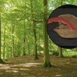 Tra le sue meraviglie, c’è un piccolo borgo che molti definiscono il “Robin Hood italiano”: Radicofani.