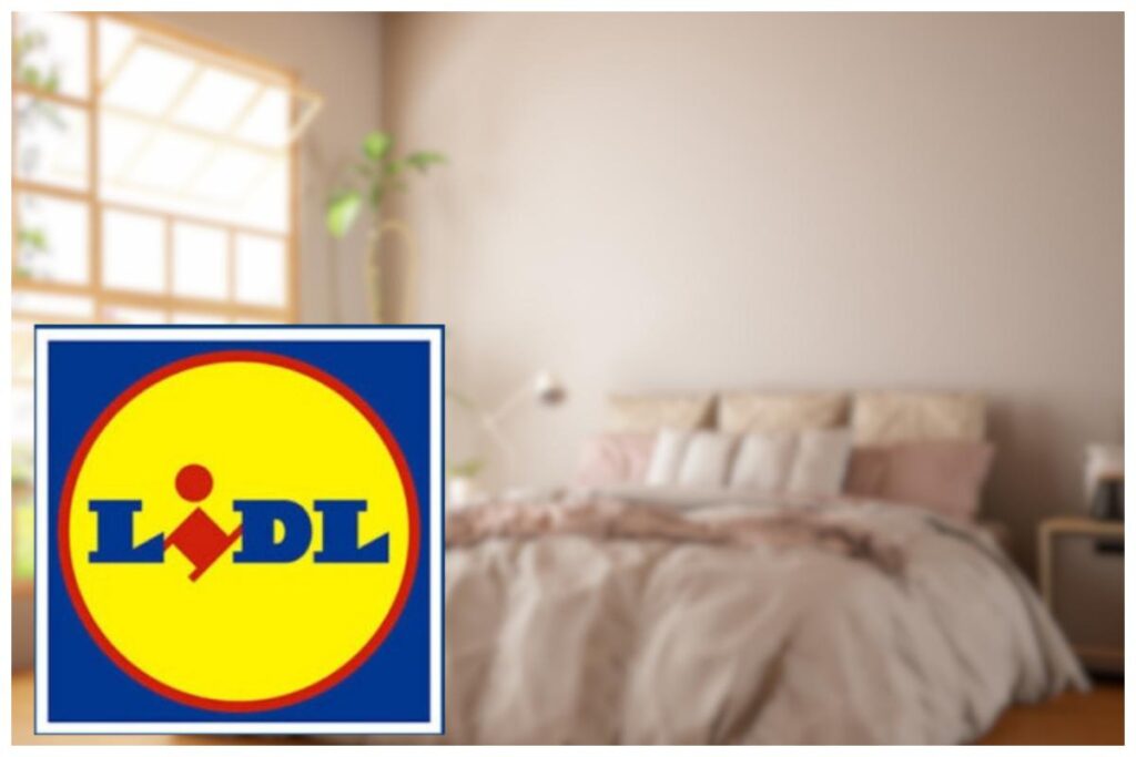 Lidl lenzuola promo