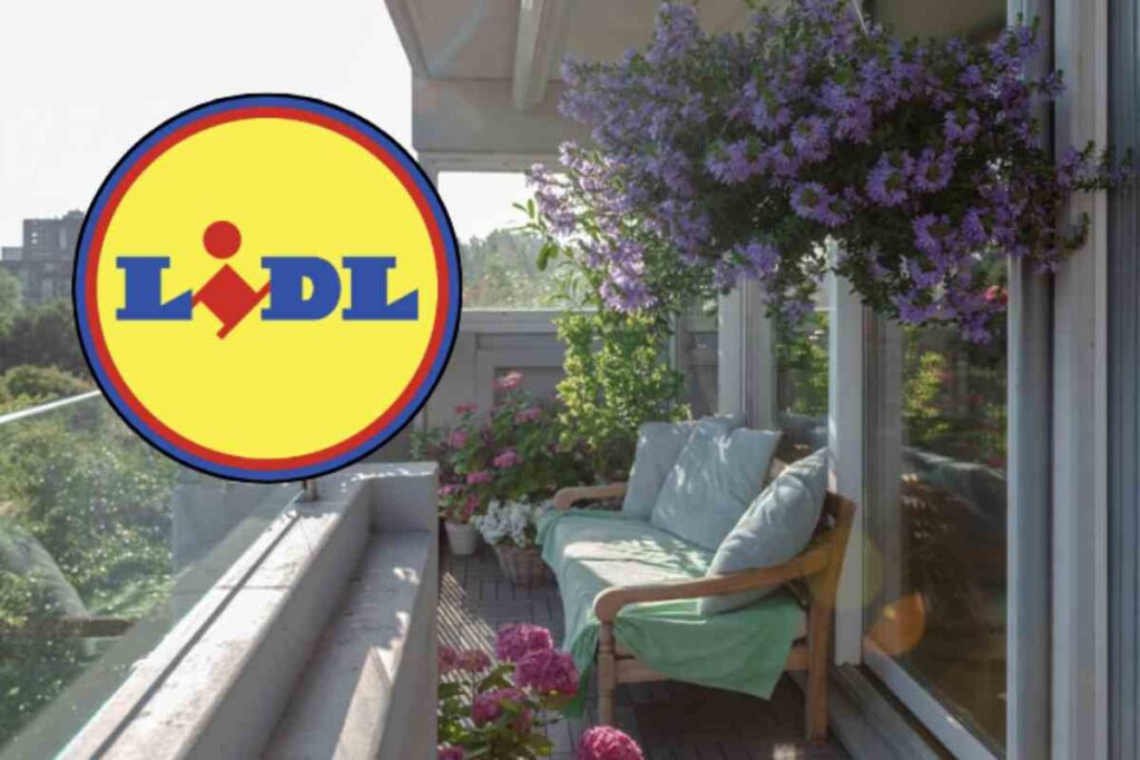 La catena di supermercati tedesca lancia una vasta selezione di piante da interno ed esterno, tutte a prezzi incredibilmente accessibili