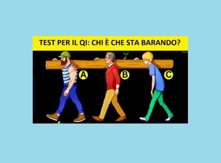 Test Q.I.