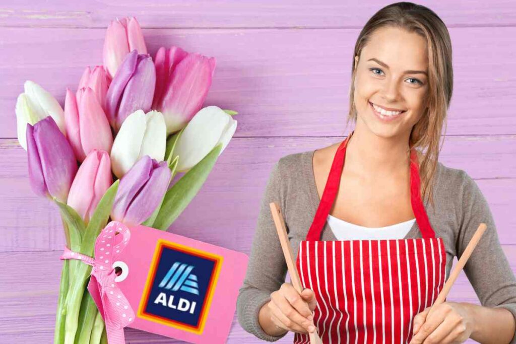 aldi festa mamma promozioni