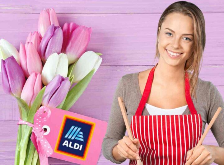aldi festa mamma promozioni