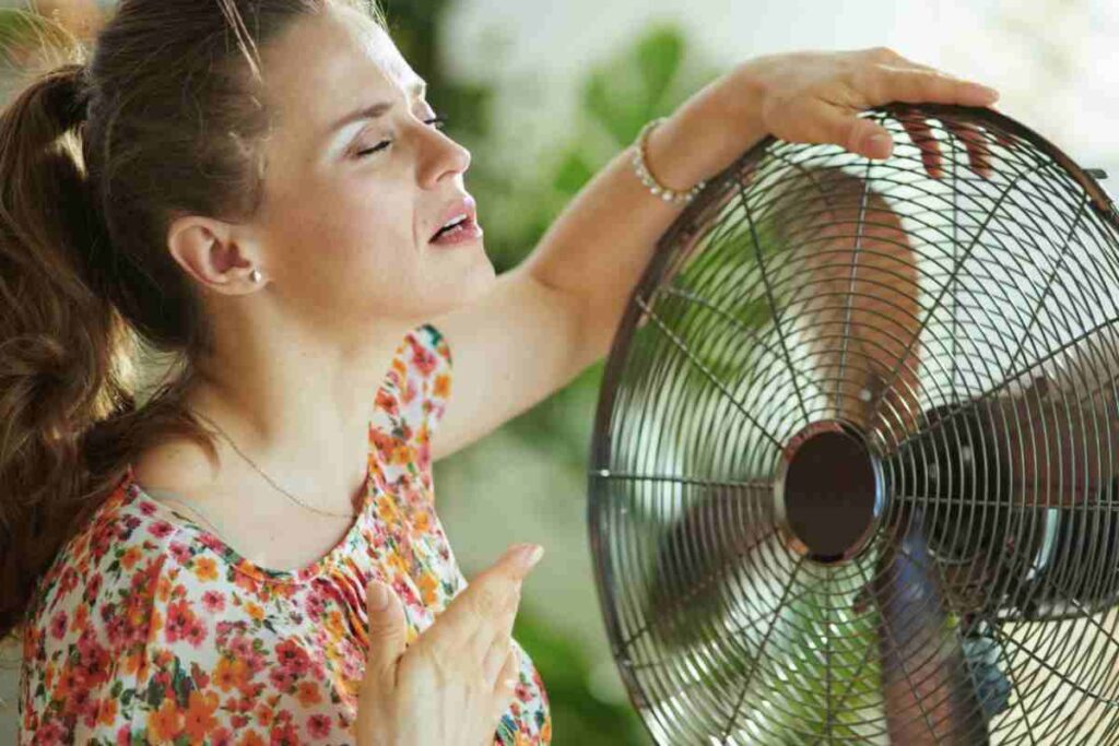 caldo