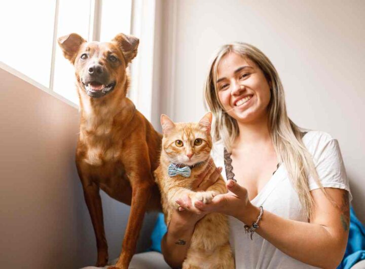 Bonus animali domestici: ecco le novità, tutti i dettagli