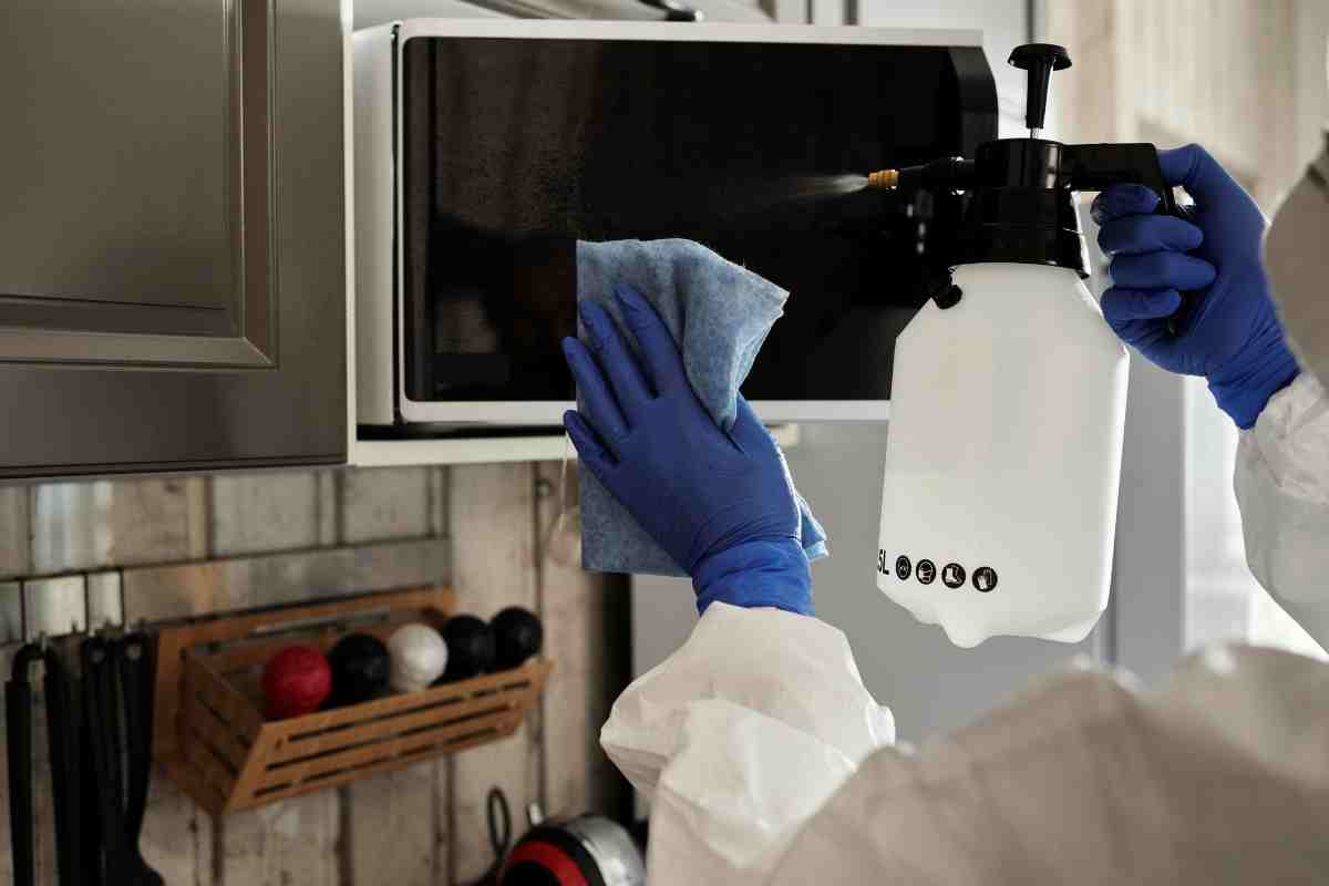 Forno autopulente, la grande novità fa impazzire gli italiani, le novità inaspettate