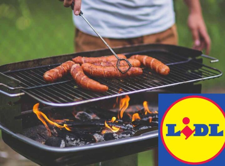 grigliata lidl