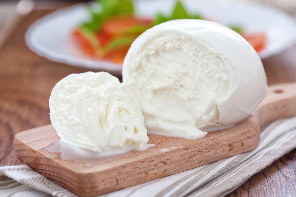 piadina burrata e pomodori secchi