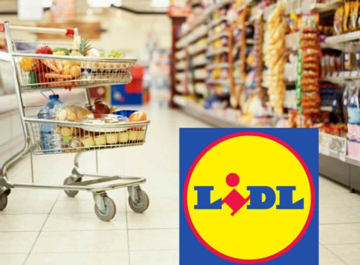 spesa lidl