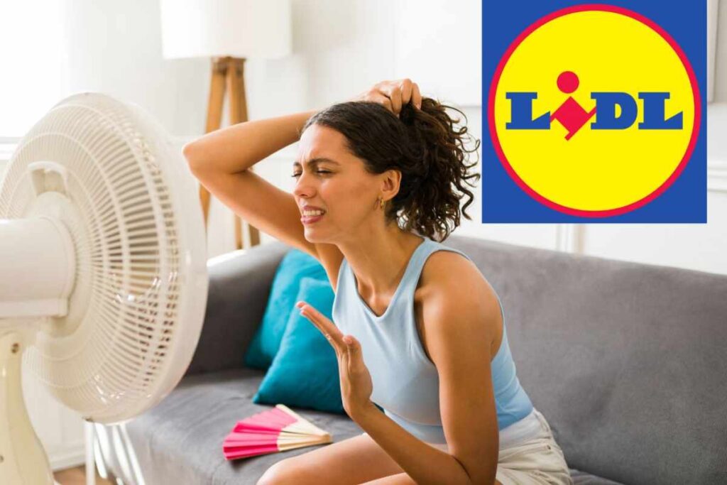 ventilatore lidl