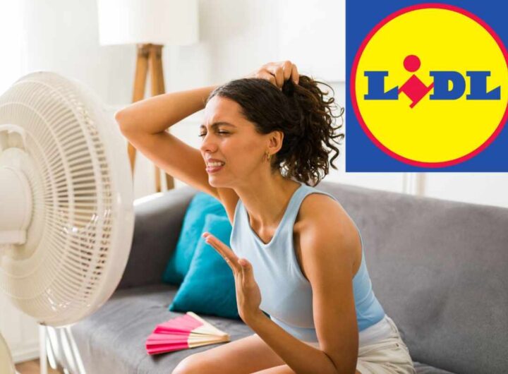 ventilatore lidl