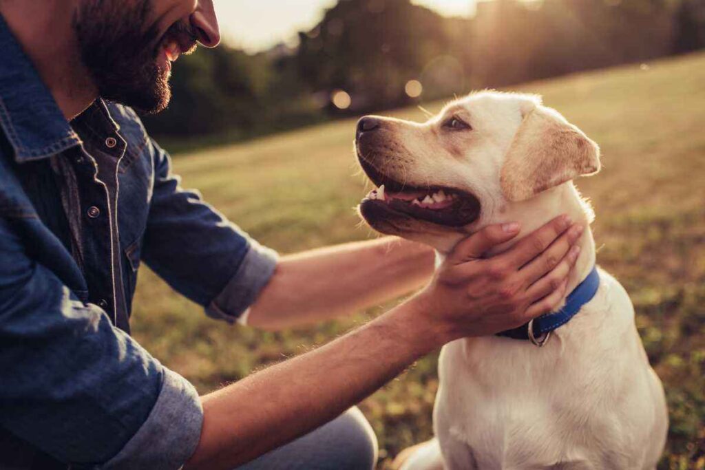 Cane test psicologia