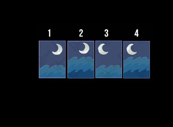 Test Luna