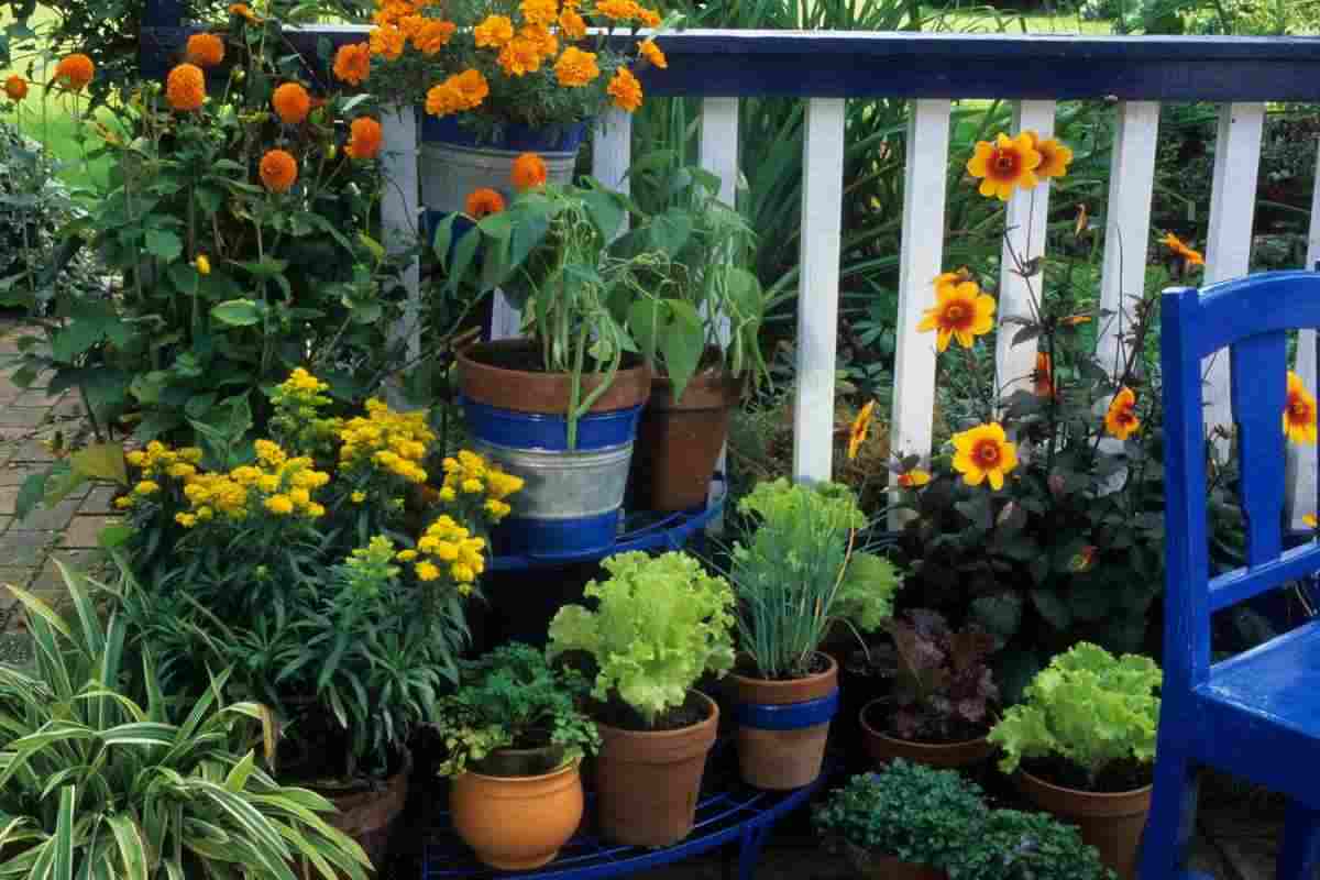 La guerra alle zanzare inizia sul balcone: ecco come eliminarle