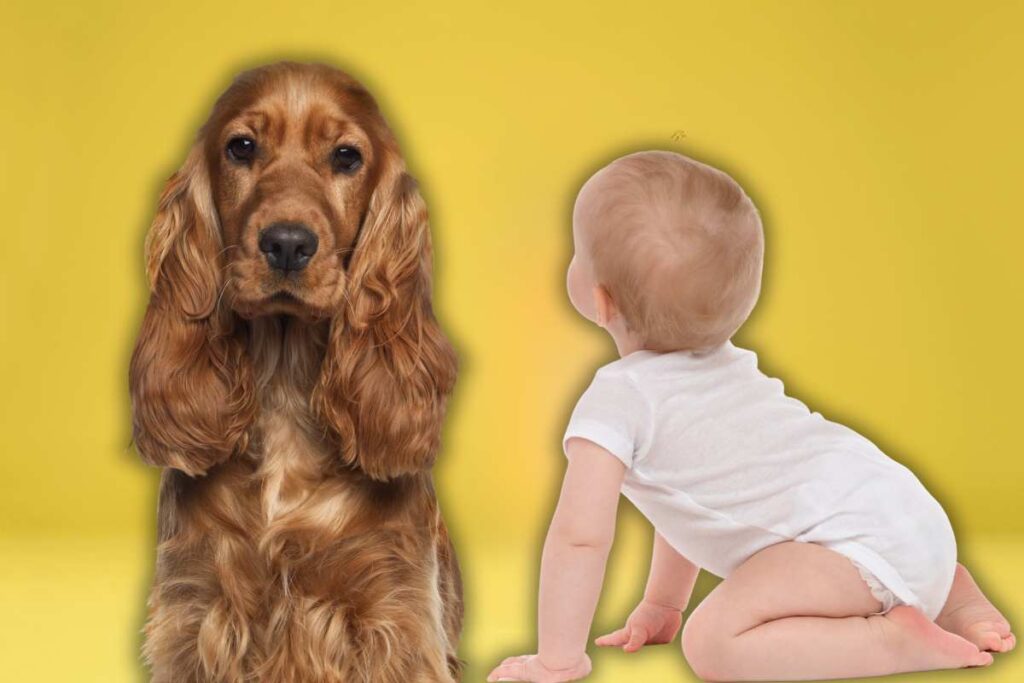 cani e bambini vantaggi