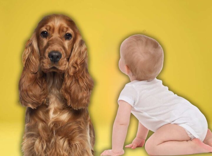 cani e bambini vantaggi