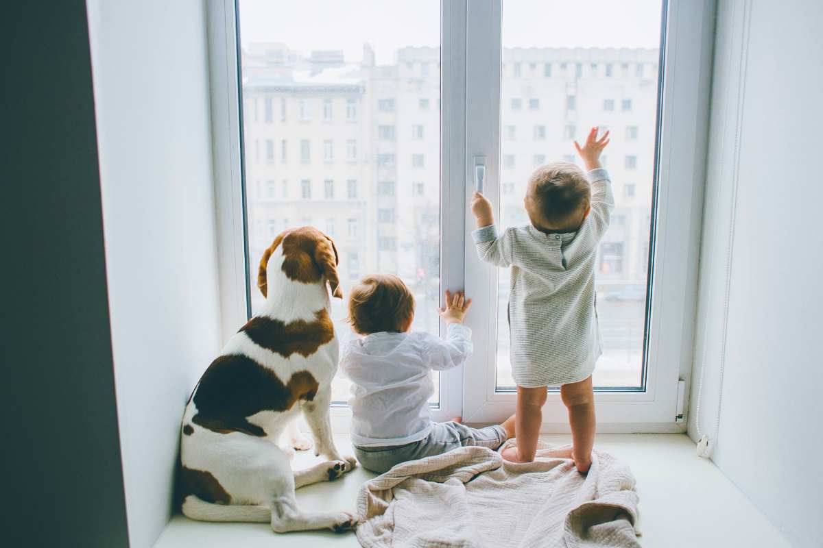 cani e bambini rischi