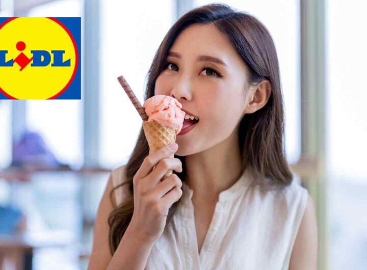 Chi produce i mitici Gelatelli Lidl? ecco cosa si nasconde dietro