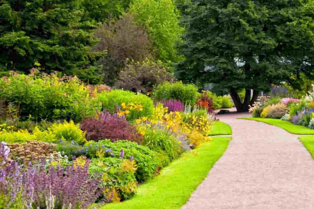 Come trasformare il tuo giardino in un’esplosione di colori