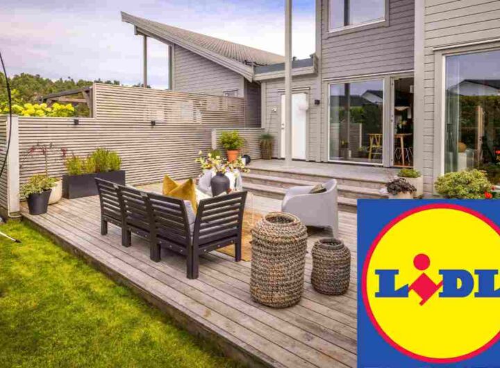 giardino lidl