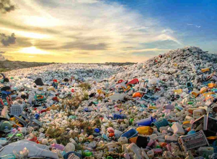 inquinamento plastica nei posti remoti della Terra