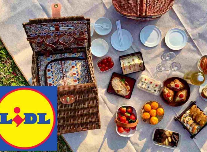 pic nic