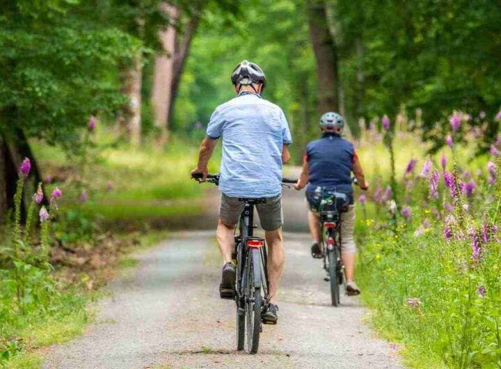 Estate su due ruote, bici, sole e tecnologia: ecco le app che fanno la differenza, i dettagli