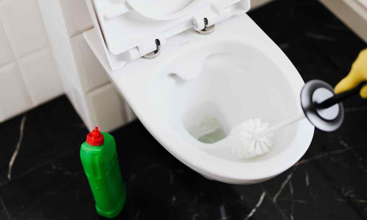 Scopino del WC, con il trucco "del sasso" non devi più lavarlo