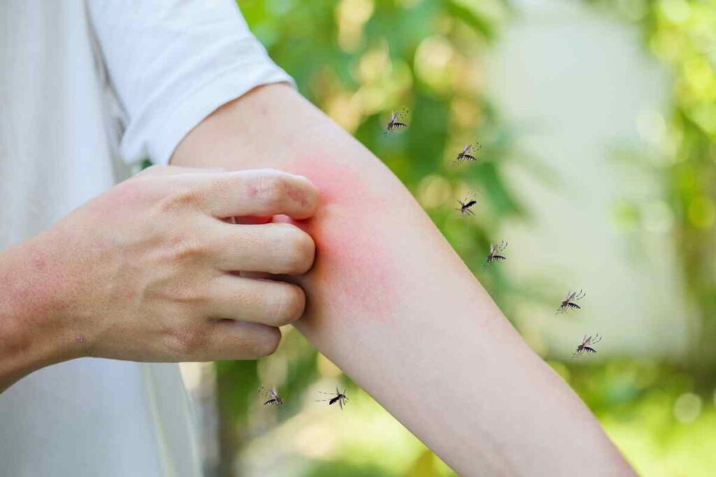 La guerra alle zanzare inizia sul balcone