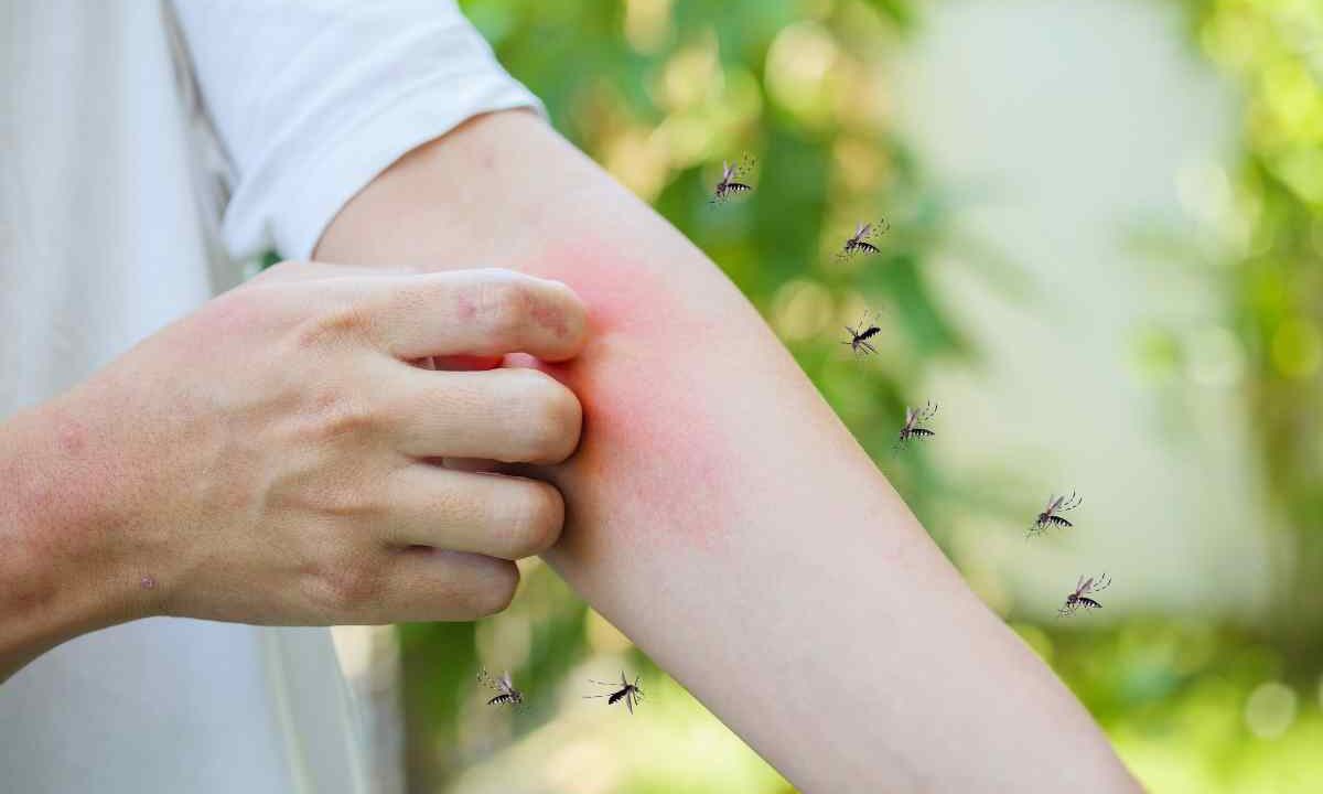 La guerra alle zanzare inizia sul balcone