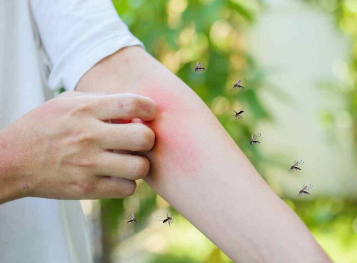 La guerra alle zanzare inizia sul balcone