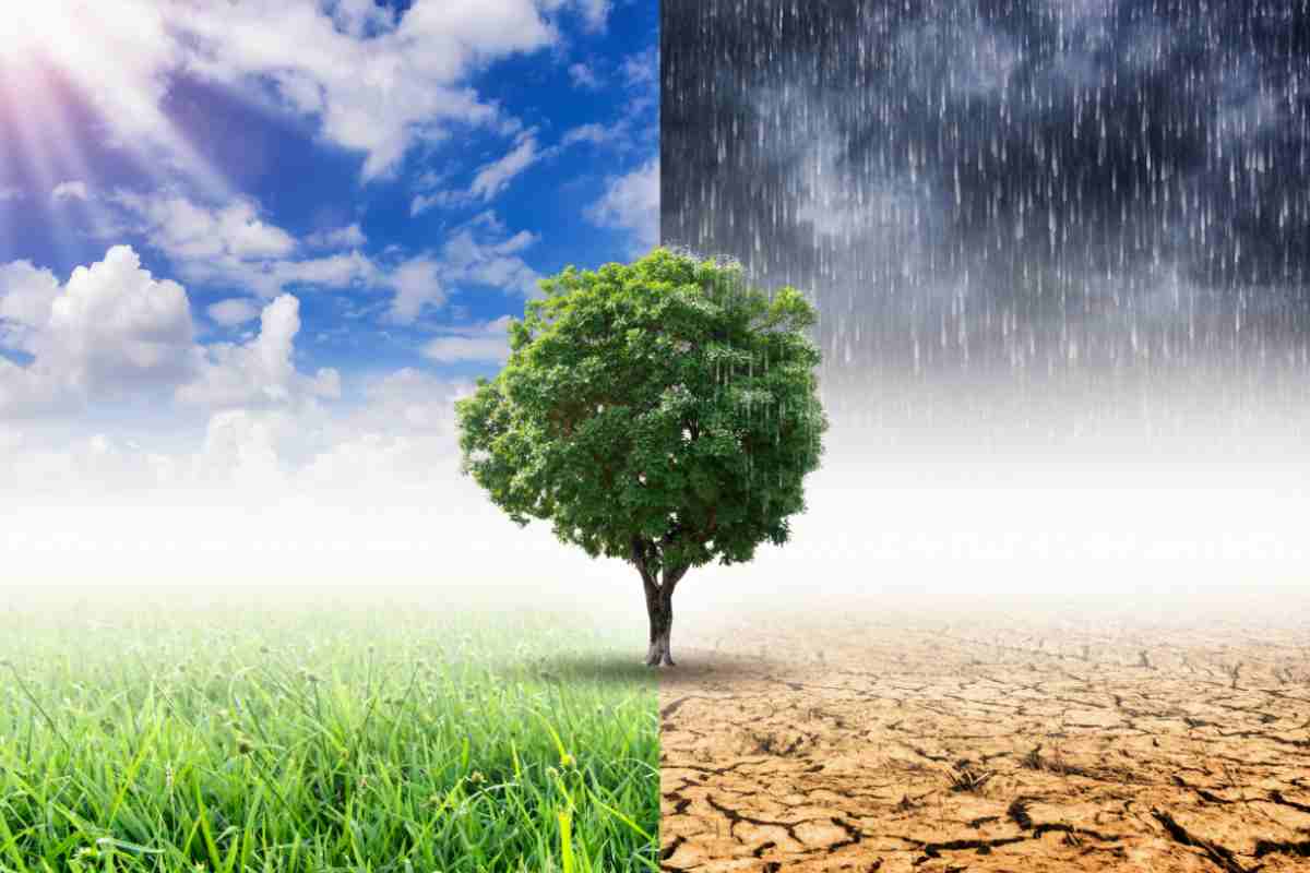 Cambiamento climatico