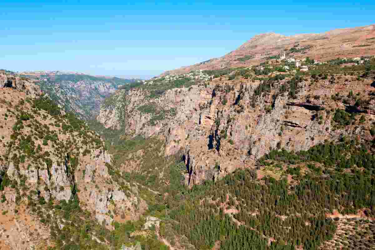 Ti innamorerai della favolosa Foresta dei Cedri di Dio