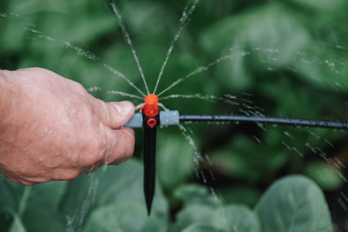 irrigatore